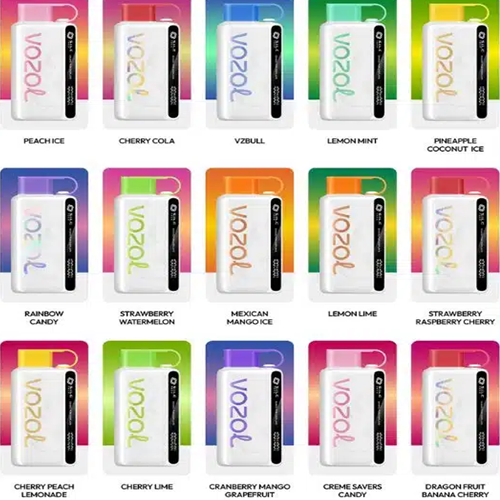 Vozol Star 12000 Puffs Disposable Vape In Dubai - Image 2